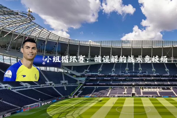 小组循环赛：被误解的战术竞技场